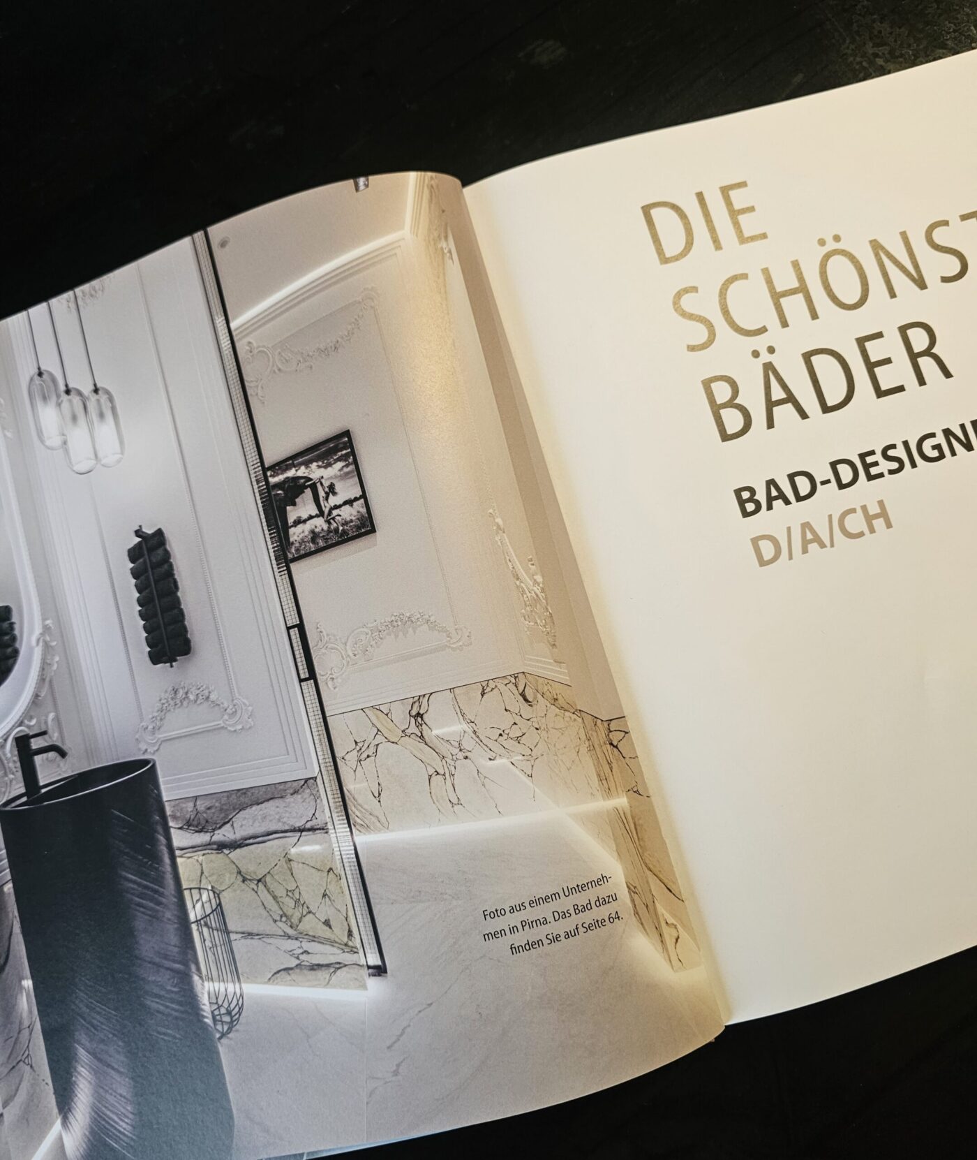 BADdesignBuch 2025